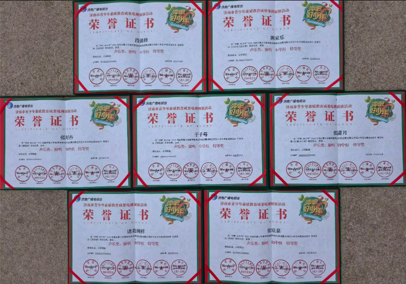 七个特等奖 2026电视台声乐大赛